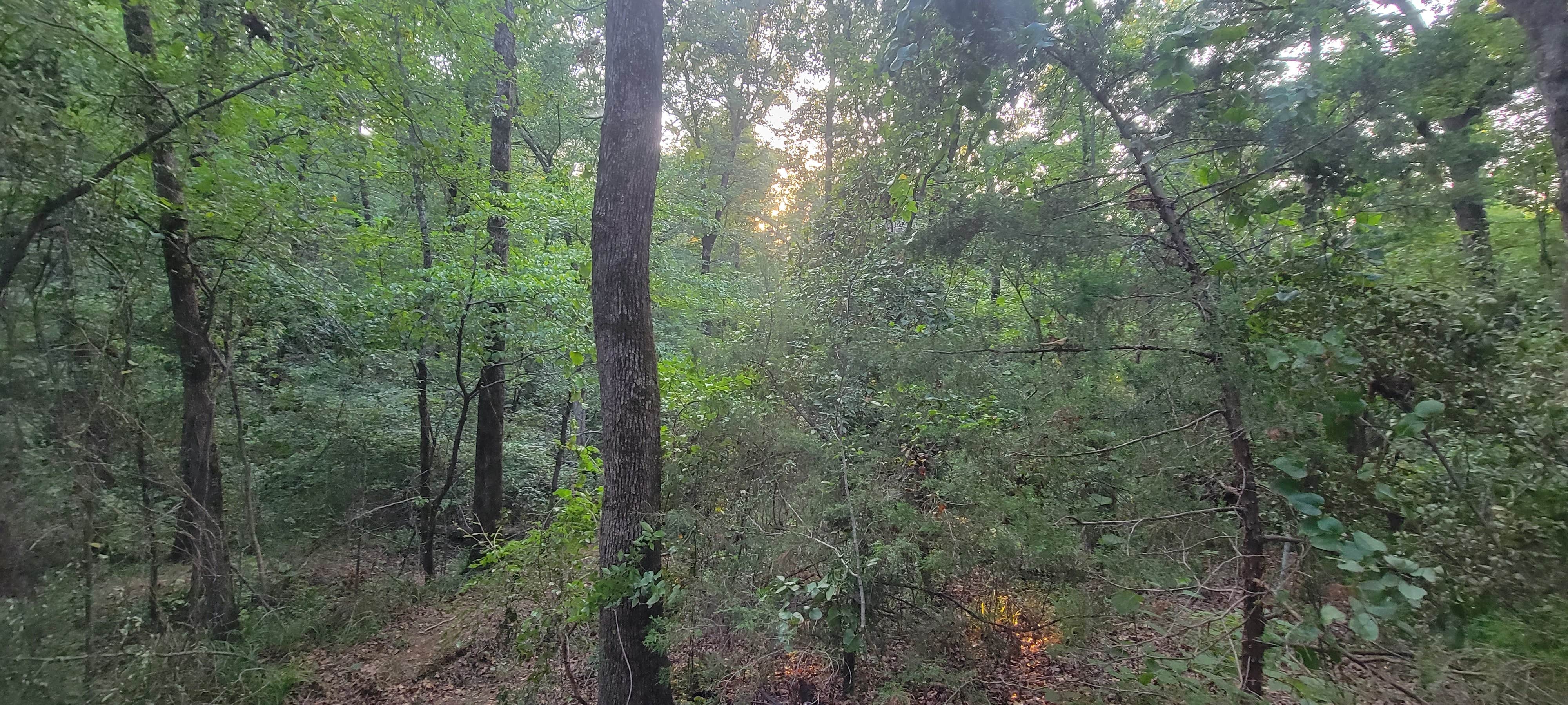 Camper-submitted photo at Heavenly Haven & Hideaways near Lindale, TX