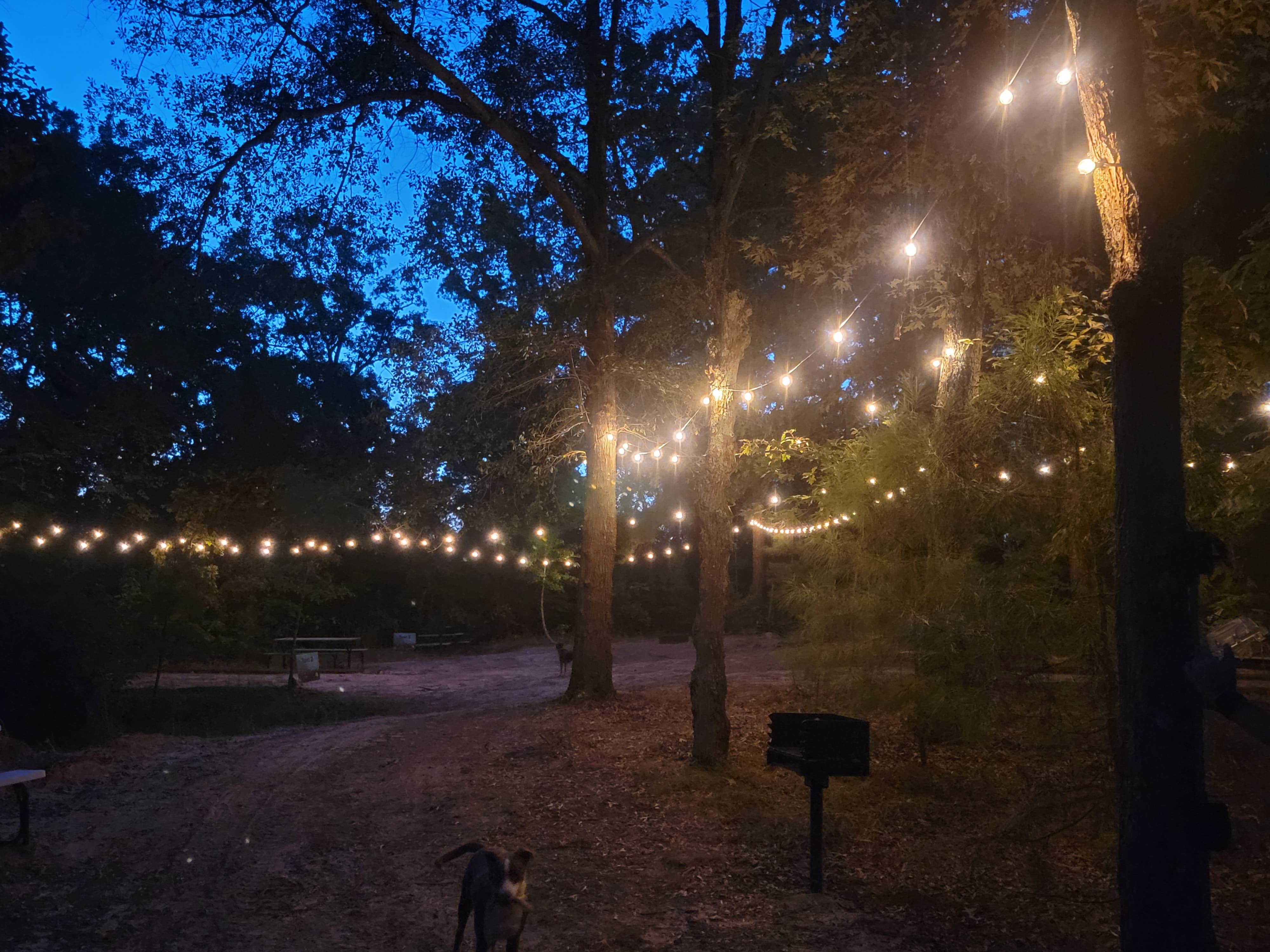 Jill M.'s photo of camping with pets at Heavenly Haven & Hideaways near Lindale, TX
