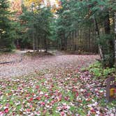 Review photo of Sugarloaf 1 Campground by Jean C., November 1, 2018