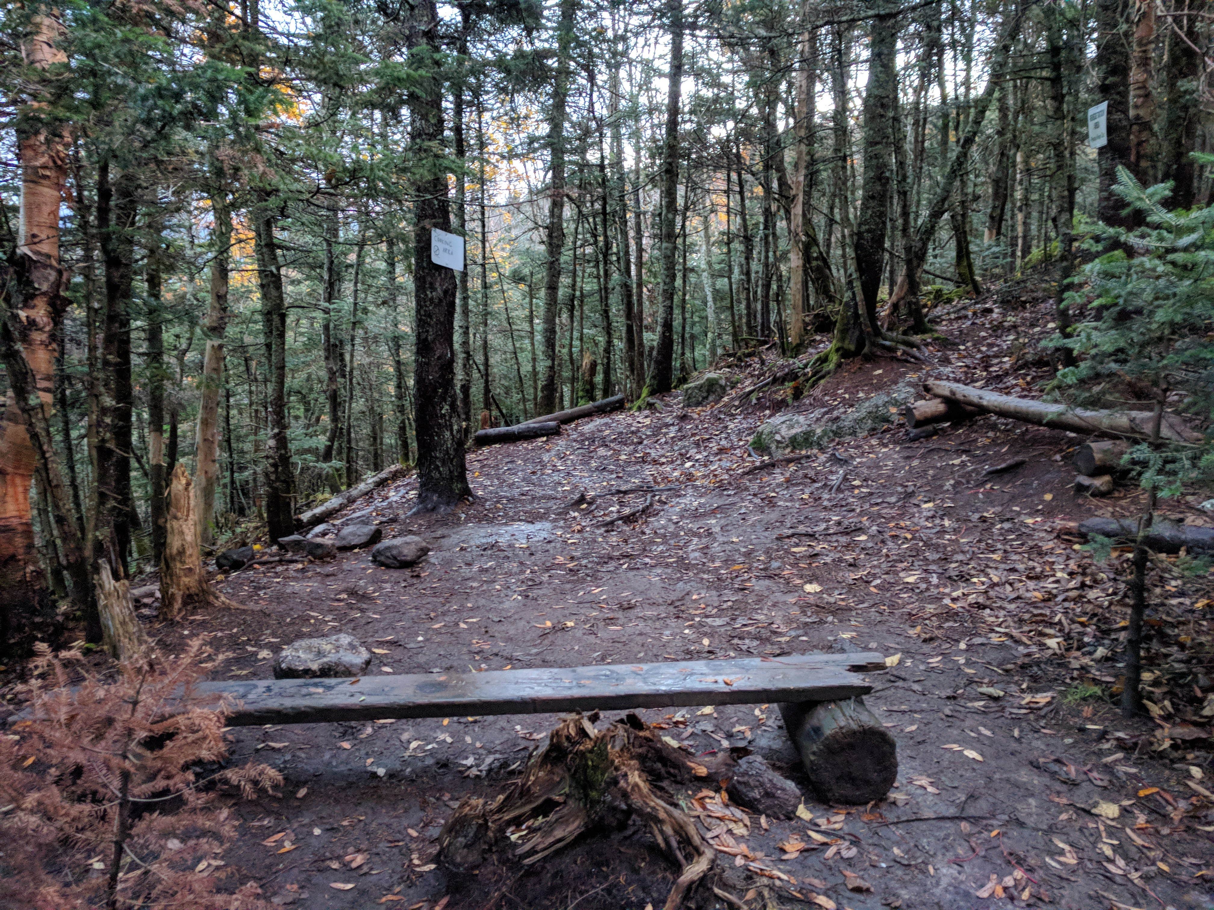 Camper-submitted photo at Imp Shelter on the AT near North Waterford, ME