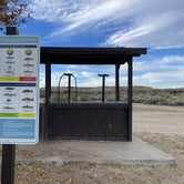 Review photo of Mojave Narrows Regional Park by Lee D., November 26, 2023