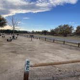 Review photo of Mojave Narrows Regional Park - CLOSED TIL FURTHER NOTICE by Lee D., November 26, 2023