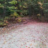 Review photo of Sugarloaf 1 Campground by Jean C., November 1, 2018