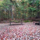 Review photo of Sugarloaf 1 Campground by Jean C., November 1, 2018