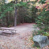 Review photo of Sugarloaf 1 Campground by Jean C., November 1, 2018