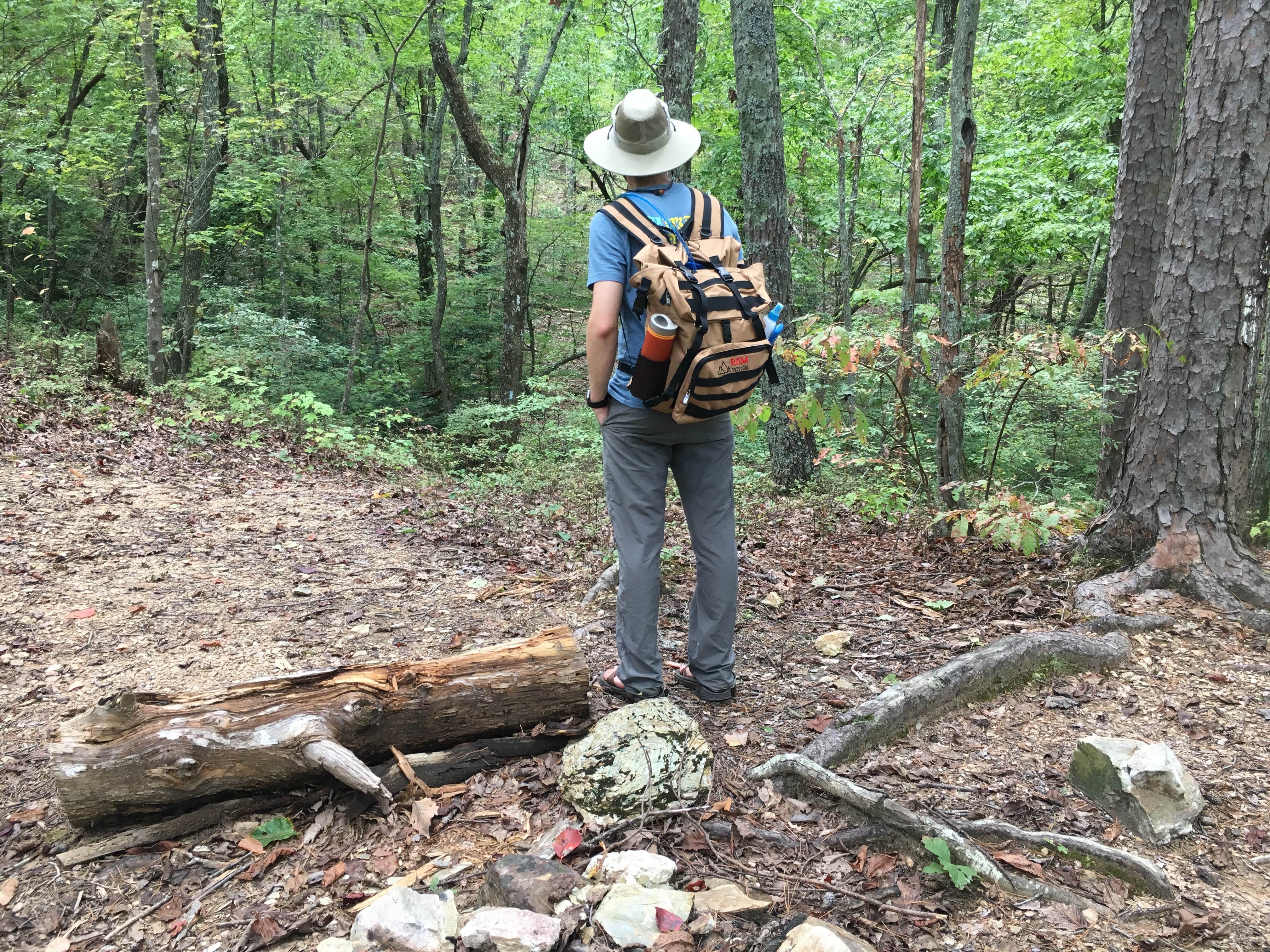 Camper submitted image from Pinhoti Campground North of Talladega Scenic Drive 2 - 5