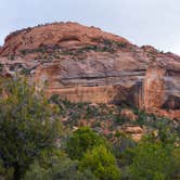 Review photo of Lava Point Campground — Zion National Park by Matt S., November 1, 2018