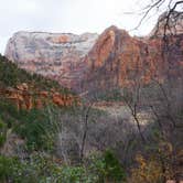 Review photo of Lava Point Campground — Zion National Park by Matt S., November 1, 2018