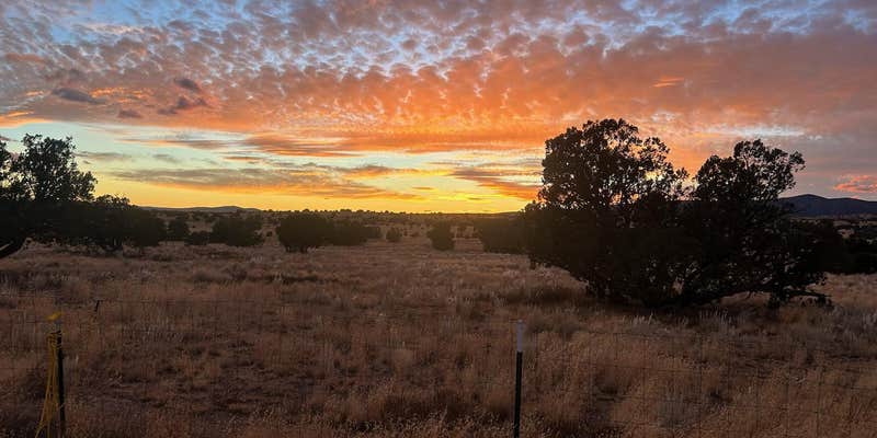 Camper submitted image from Old Cherokee Ranch