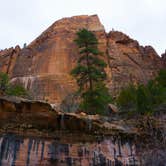 Review photo of Lava Point Campground — Zion National Park by Matt S., November 1, 2018