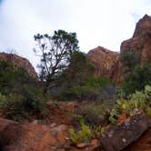 Review photo of Lava Point Campground — Zion National Park by Matt S., November 1, 2018