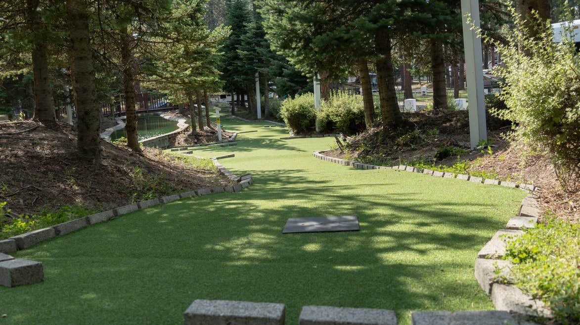 Camper-submitted photo at Ponderosa Falls RV Resort - KM Resorts near Davenport, WA