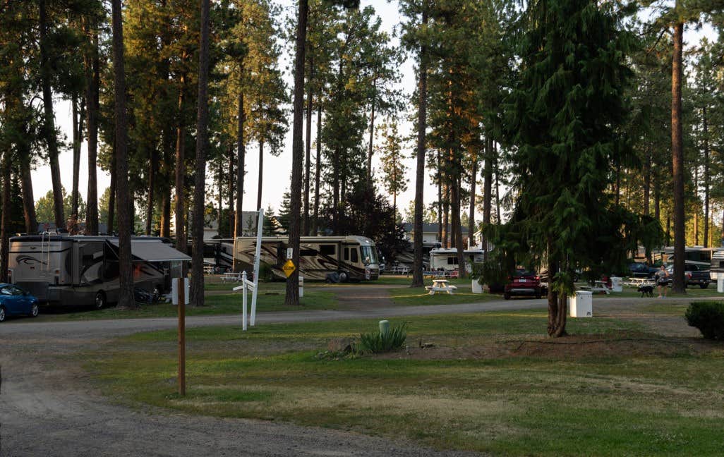 KM RESORTS's photo of camping with pets at Ponderosa Falls RV Resort - KM Resorts near Lamont, WA