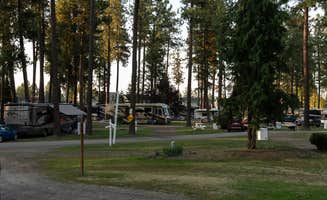 KM RESORTS's photo of camping with pets at Ponderosa Falls RV Resort - KM Resorts near Tumtum, WA