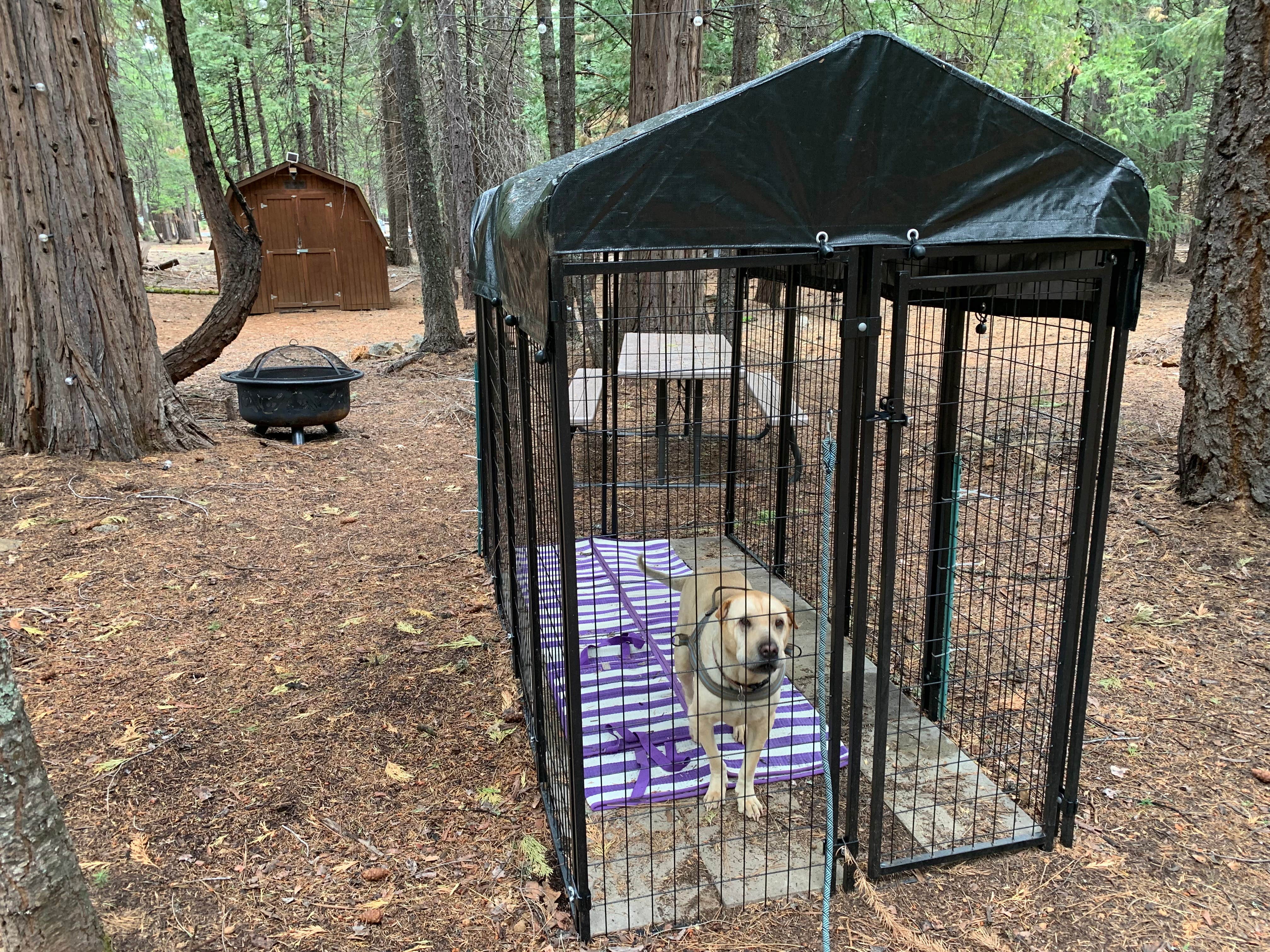 Camper-submitted photo at Island Warriors Retreat near Whitmore, CA