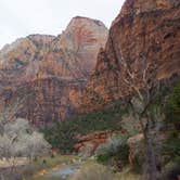 Review photo of Lava Point Campground — Zion National Park by Matt S., November 1, 2018