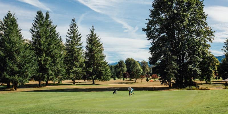 Camper submitted image from Maple Grove RV Resort (Randle) - KM Resorts