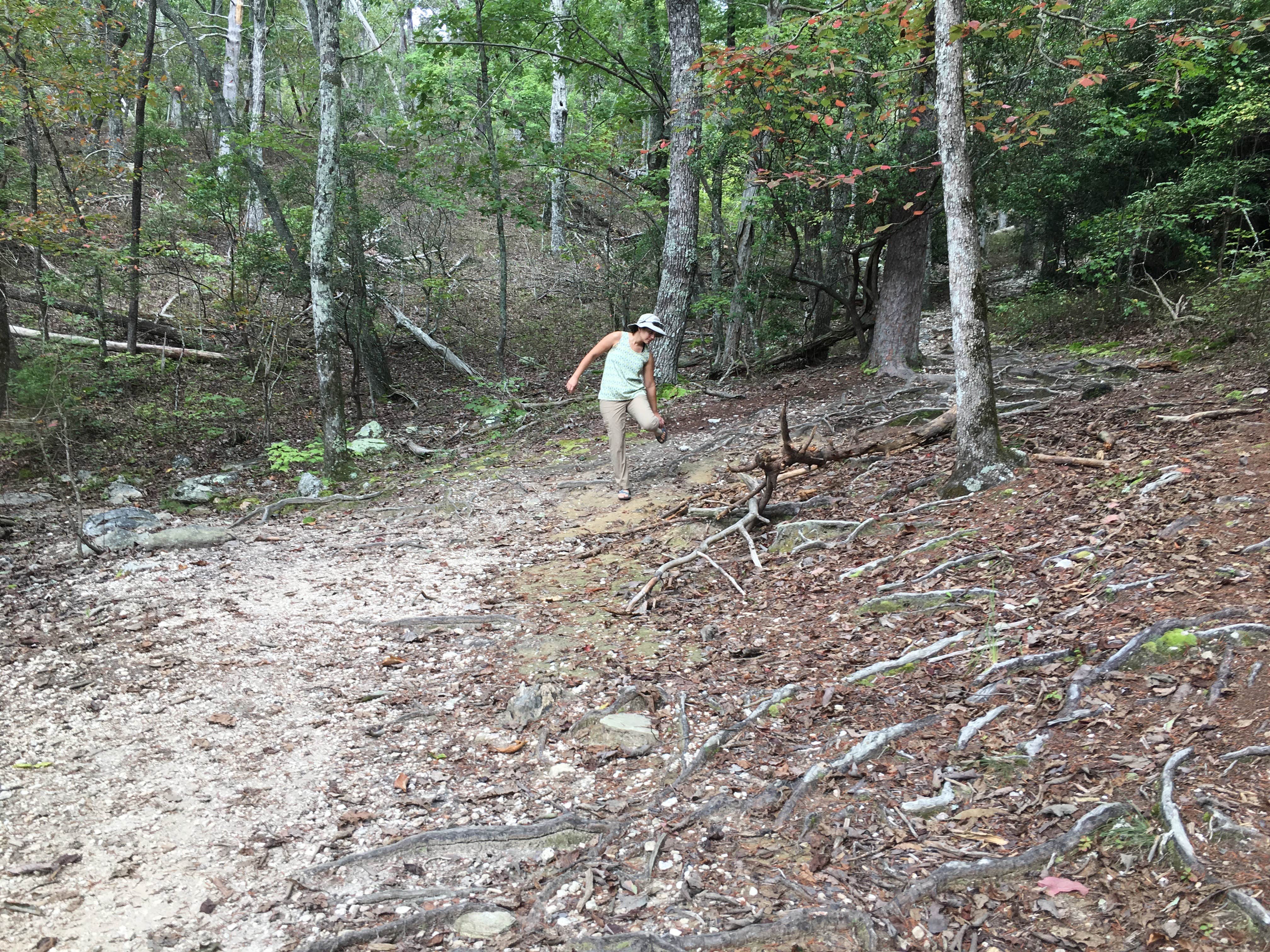 Camper-submitted photo at Pinhoti Trail Cave Creek Connector Backcountry Campground — Cheaha State Park near Delta, AL