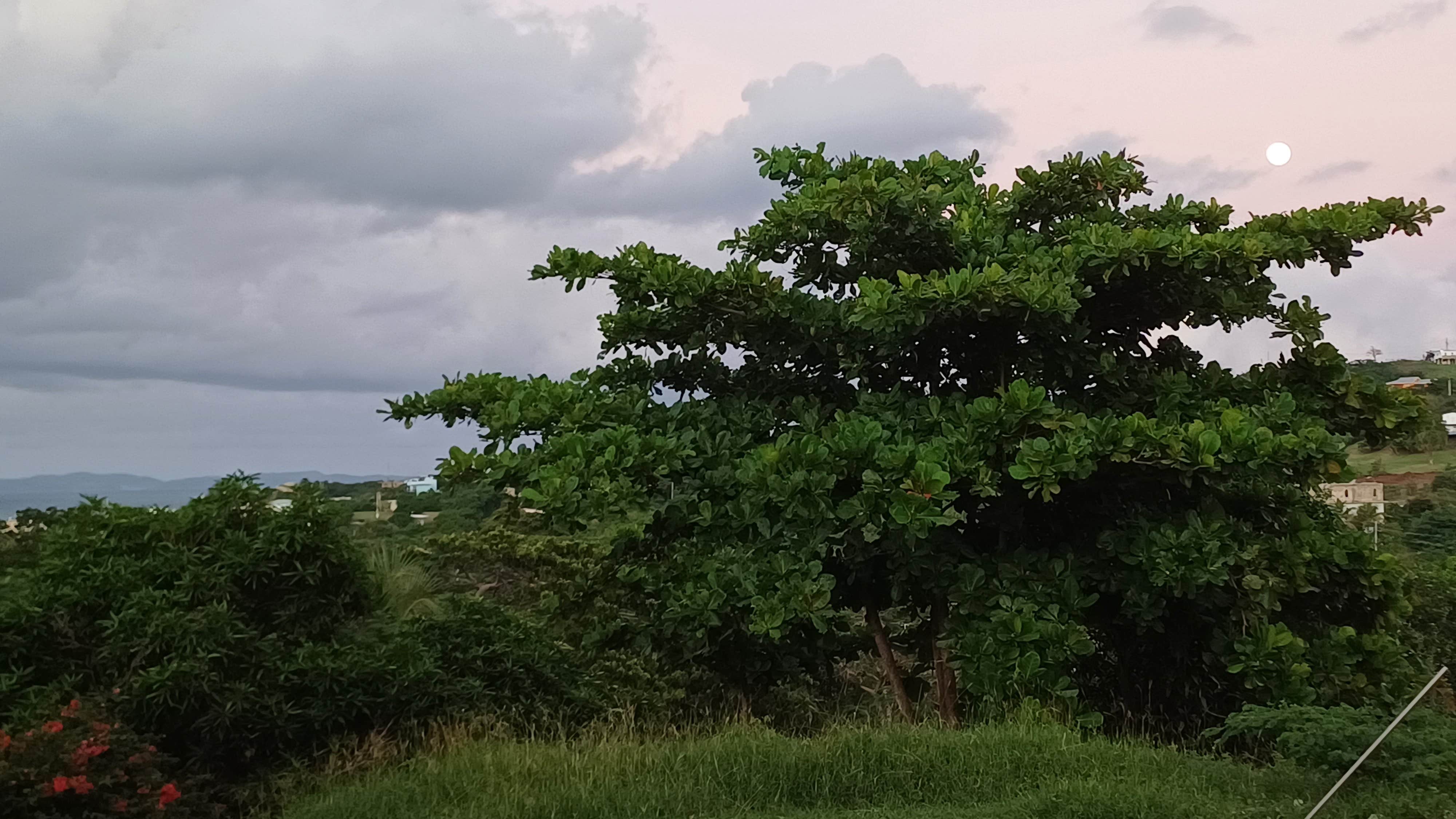 Camper-submitted photo at Rooster Run Guest House and Camping in Puerto Rico