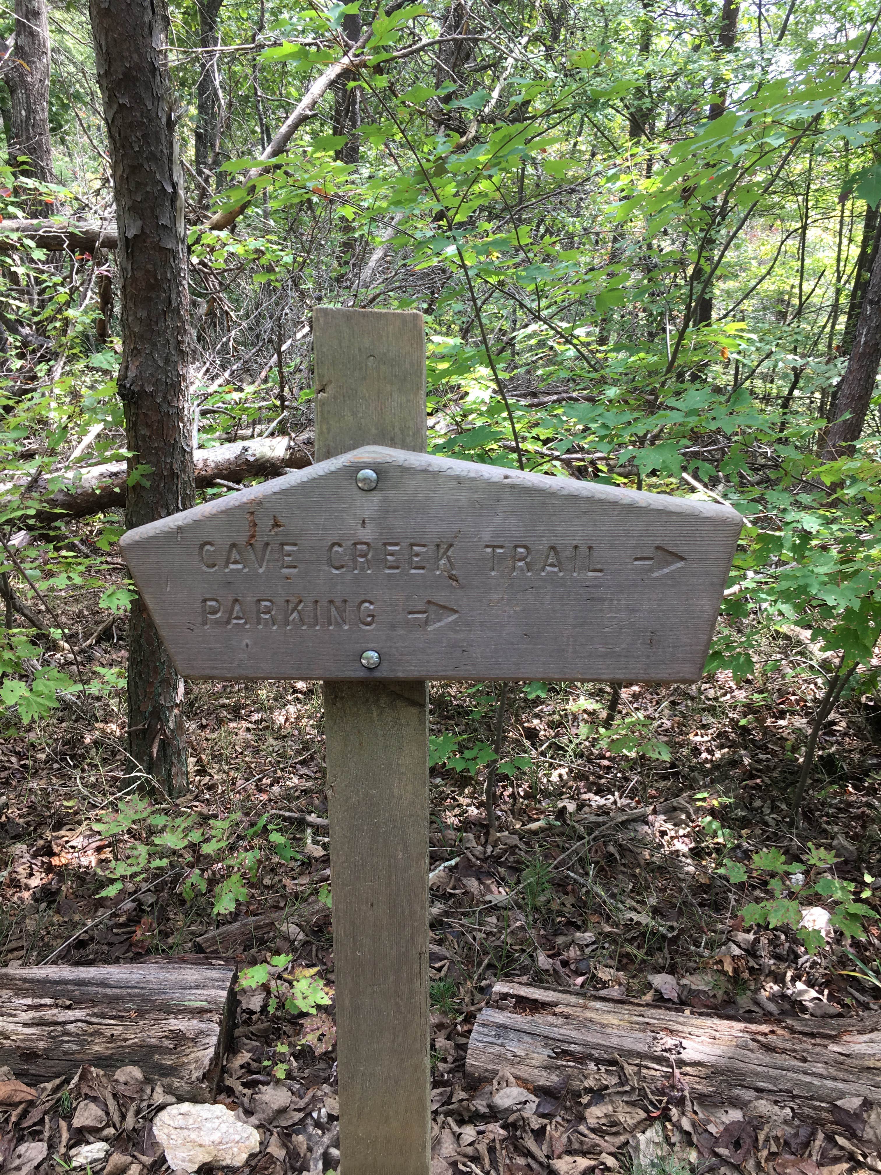 Camper-submitted photo at Pinhoti Trail Cave Creek Connector Backcountry Campground — Cheaha State Park near Delta, AL