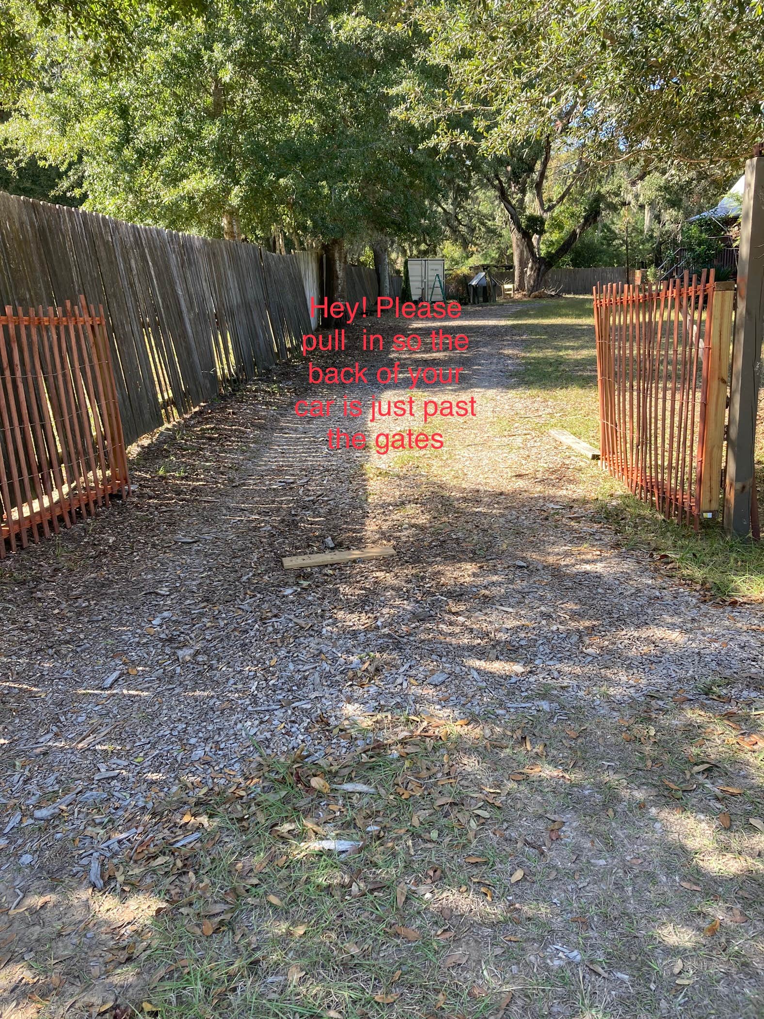 Camping near Remleys Point Public Boat Launch: bee haven, Johns Island, South Carolina
