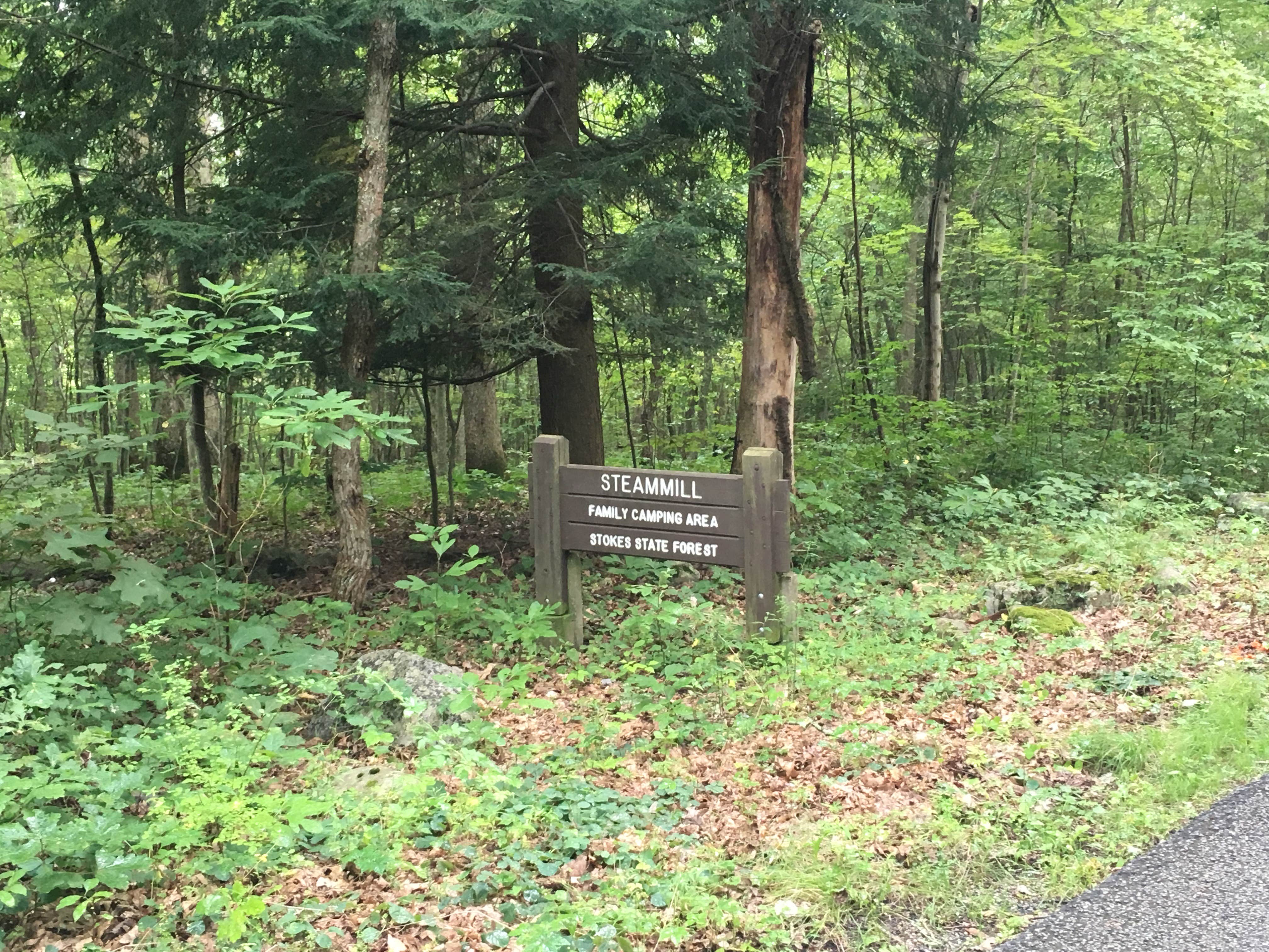 Steam Mill Campground The Dyrt