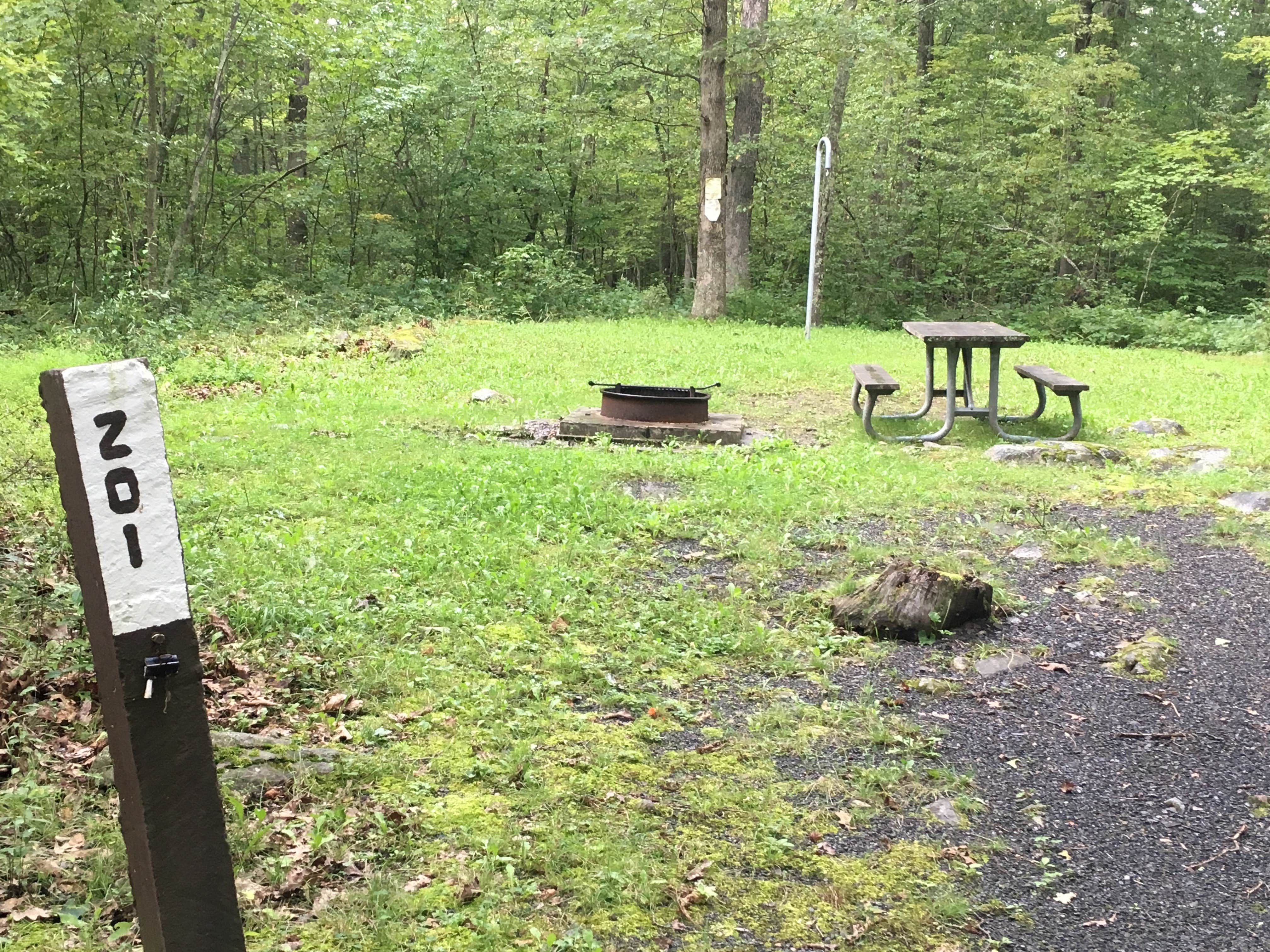 Camper-submitted photo at Steam Mill Campground near Wallpack Center, NJ