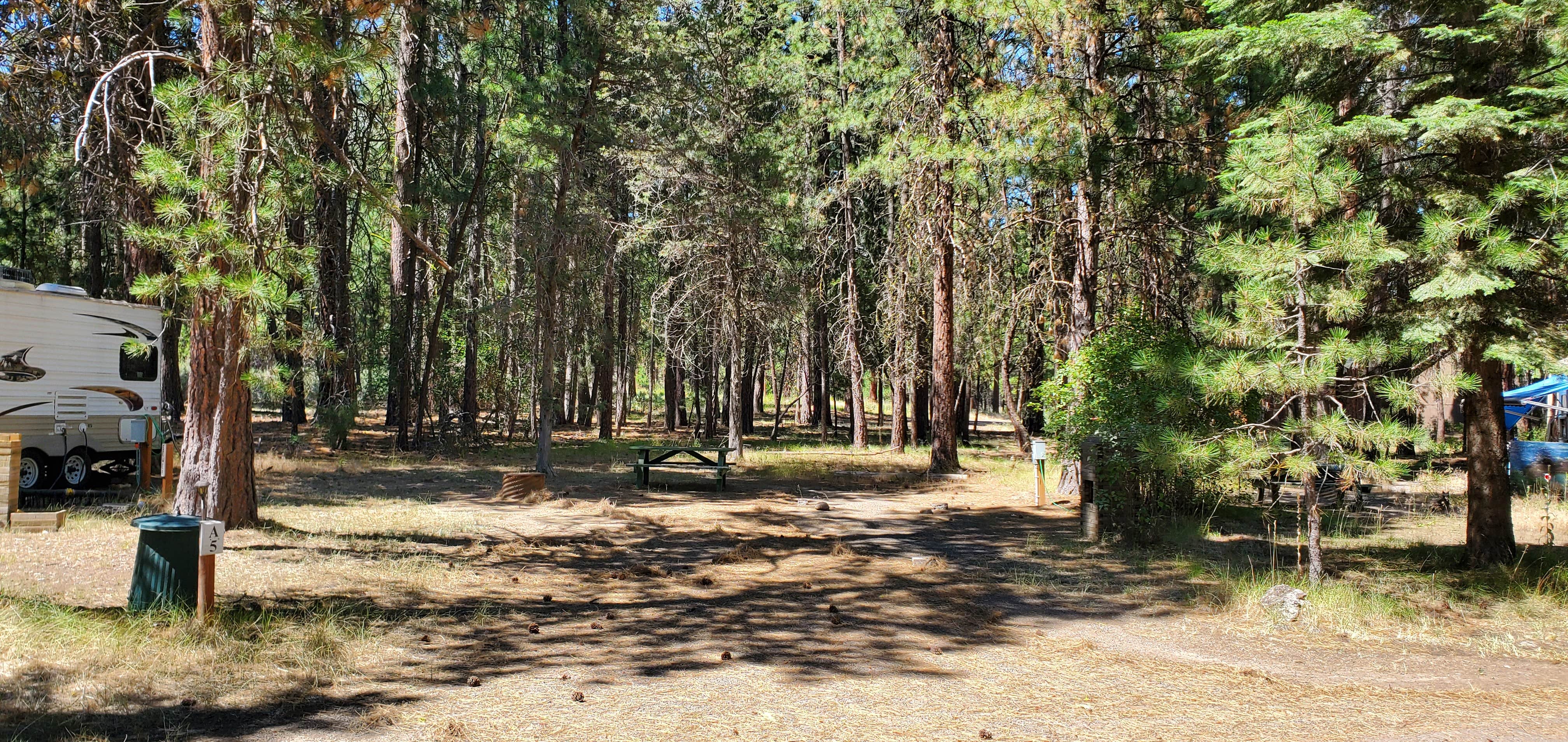 Babs's photo at Walt's RV Park ran by Lone Pine Property Management near Fort Klamath, OR