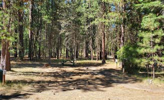 Babs's photo at Walt's RV Park ran by Lone Pine Property Management near Klamath Falls, OR