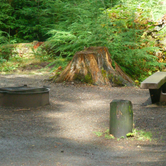 Review photo of Heart O' the Hills Campground — Olympic National Park by Christy K., July 15, 2015