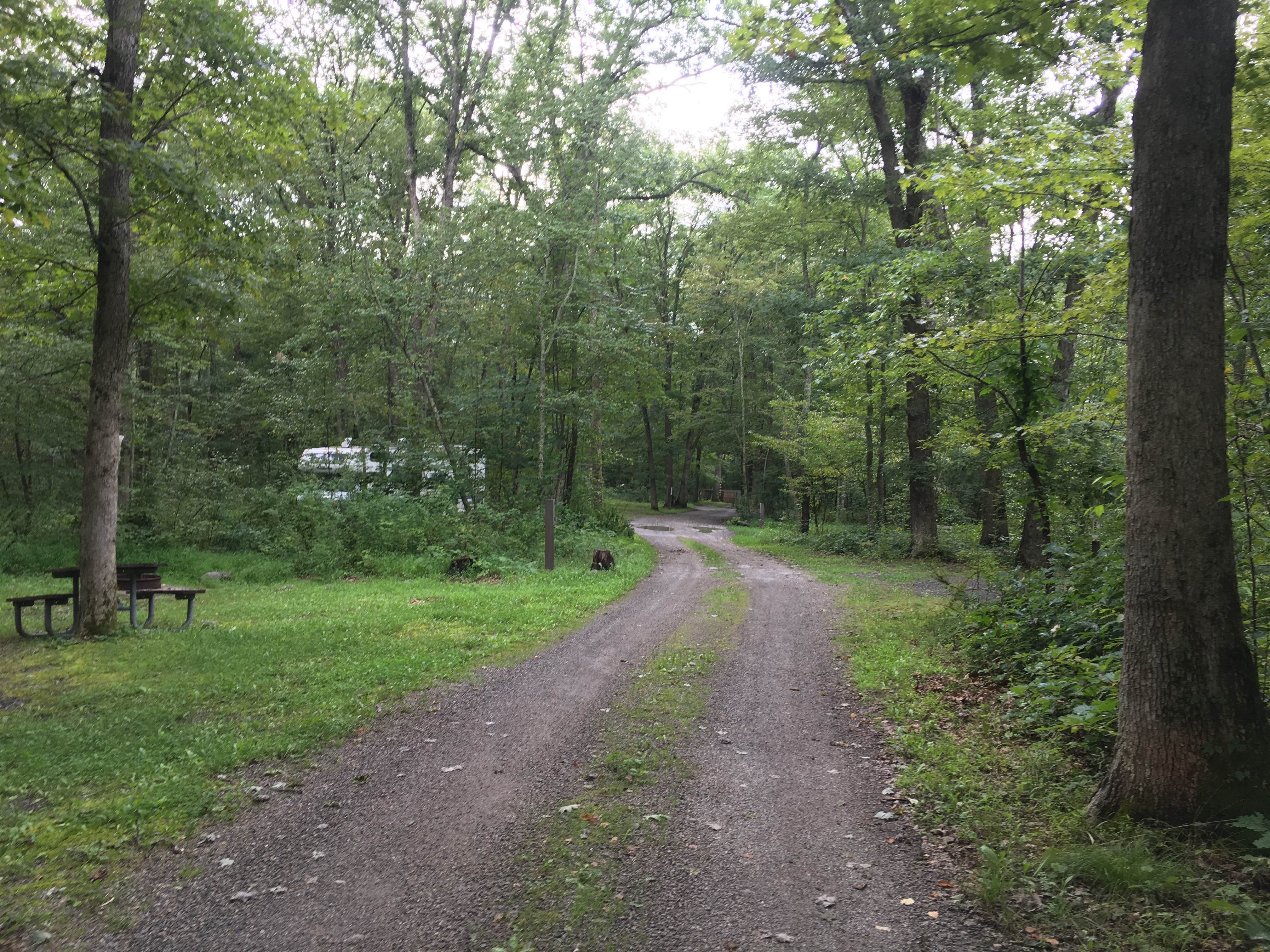 Camper submitted image from Steam Mill Campground - 4