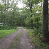 Review photo of Steam Mill Campground by Ethan K., November 1, 2018