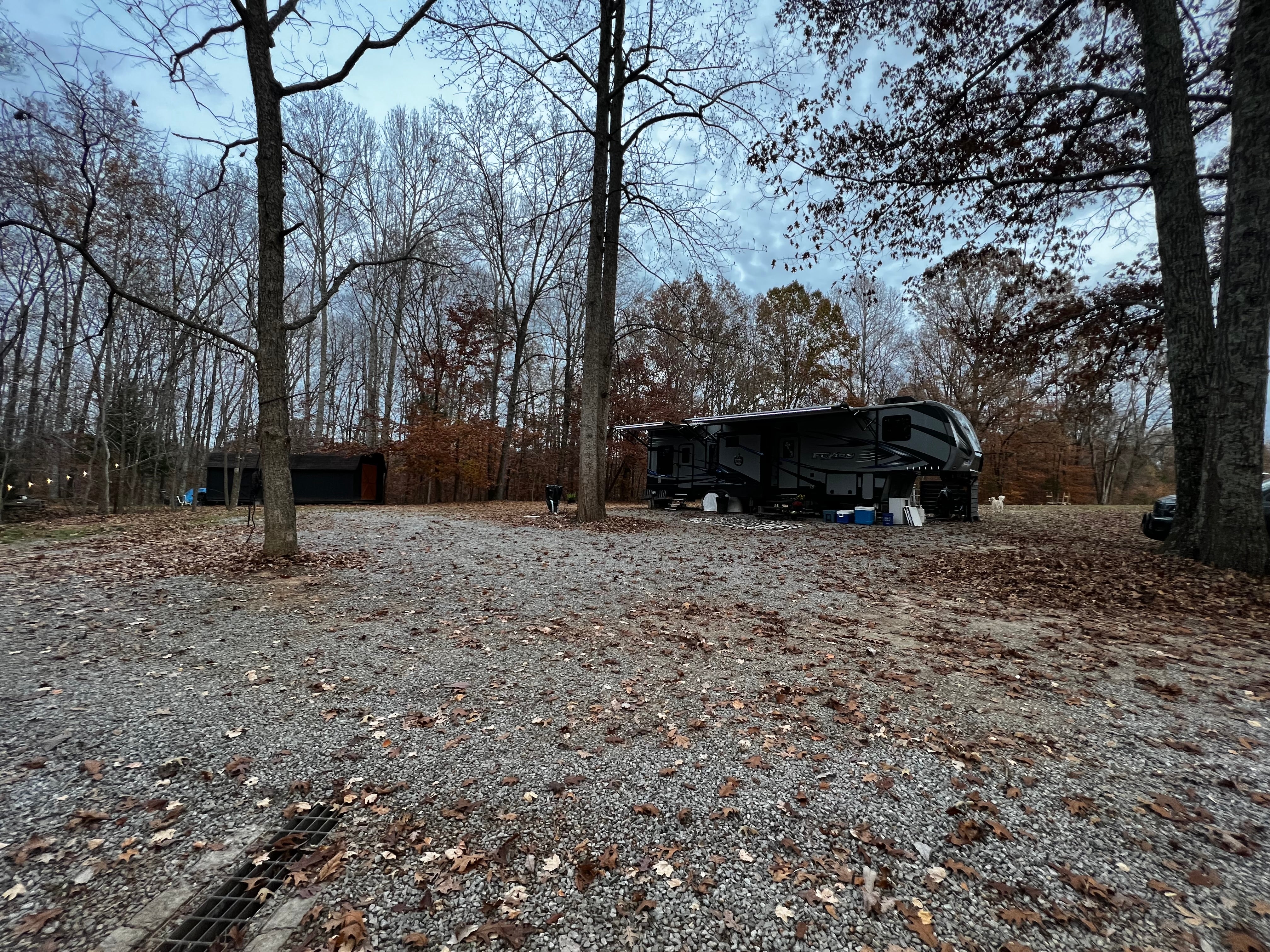 Camper submitted image from Hidden Timbers Homestead - 2