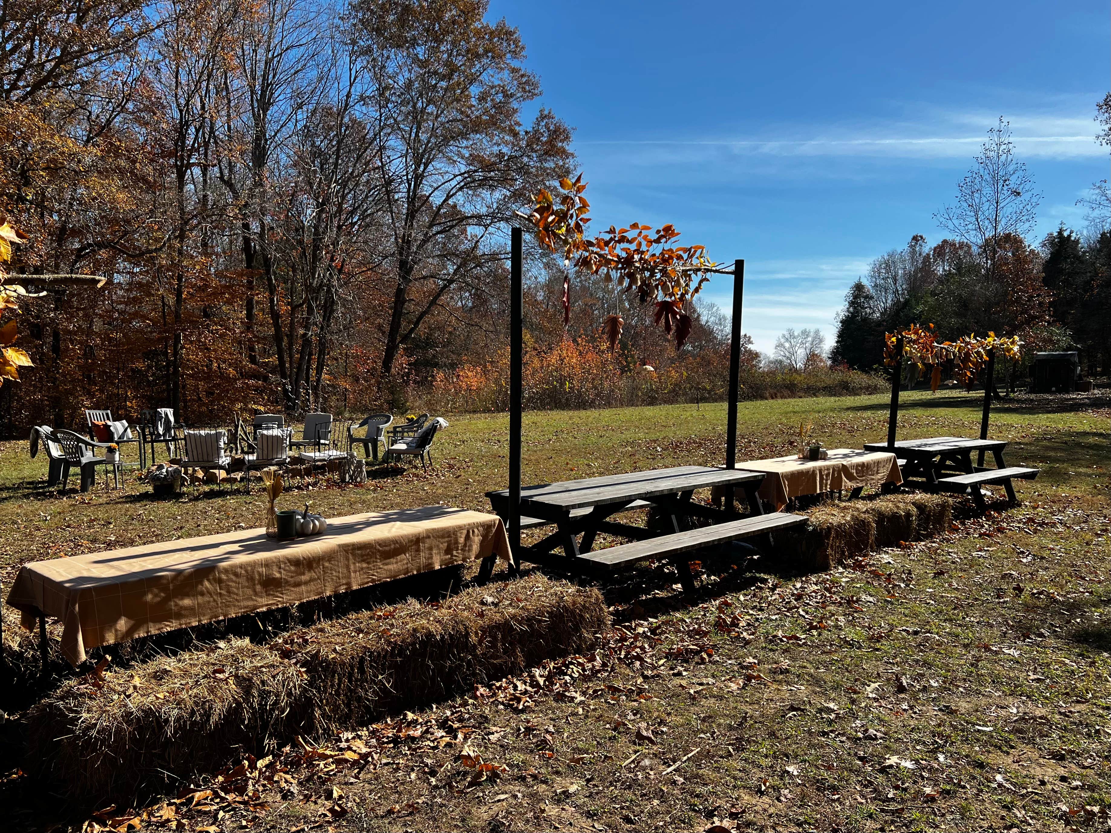 Camper-submitted photo at Hidden Timbers Homestead near Pleasant View, TN