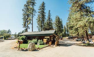 Camping near Pioneer Park: Old American Kampground - KM Resorts, Newport, Washington