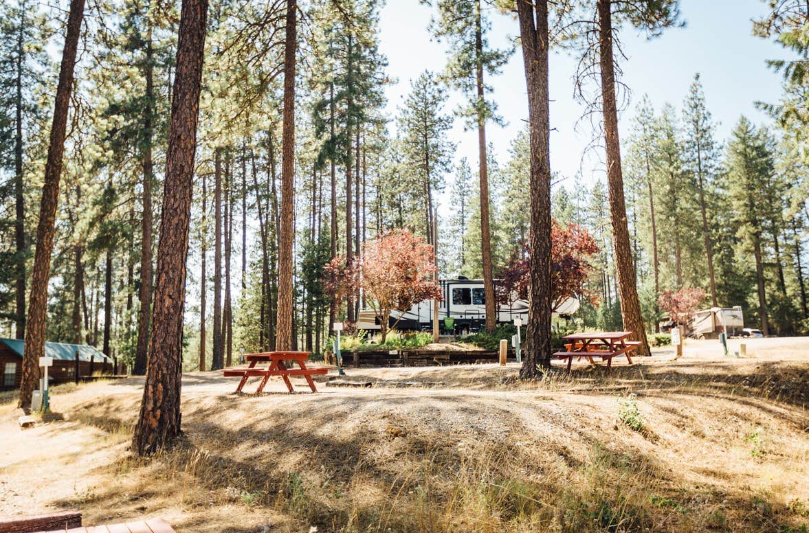 Camper-submitted photo at Old American Kampground - KM Resorts near Coolin, ID