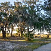 Review photo of Jekyll Island Campground by William N., November 30, 2023