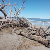 Review photo of Jekyll Island Campground by William N., November 30, 2023