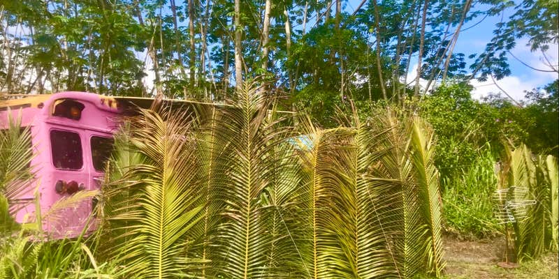 Camper submitted image from Hawaiians Matter Village