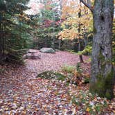 Review photo of Sugarloaf 2 Campground by Jean C., November 1, 2018