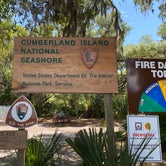 Review photo of Sea Camp Campground — Cumberland Island National Seashore by Stuart K., December 1, 2023