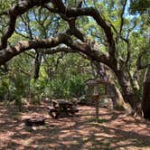 Review photo of Sea Camp Campground — Cumberland Island National Seashore by Stuart K., December 1, 2023