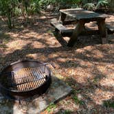 Review photo of Sea Camp Campground — Cumberland Island National Seashore by Stuart K., December 1, 2023