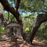 Review photo of Sea Camp Campground — Cumberland Island National Seashore by Stuart K., December 1, 2023