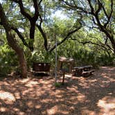 Review photo of Sea Camp Campground — Cumberland Island National Seashore by Stuart K., December 1, 2023