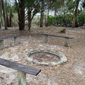 Review photo of Tomoka State Park Campground by Stuart K., December 1, 2023