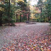 Review photo of Sugarloaf 2 Campground by Jean C., November 1, 2018