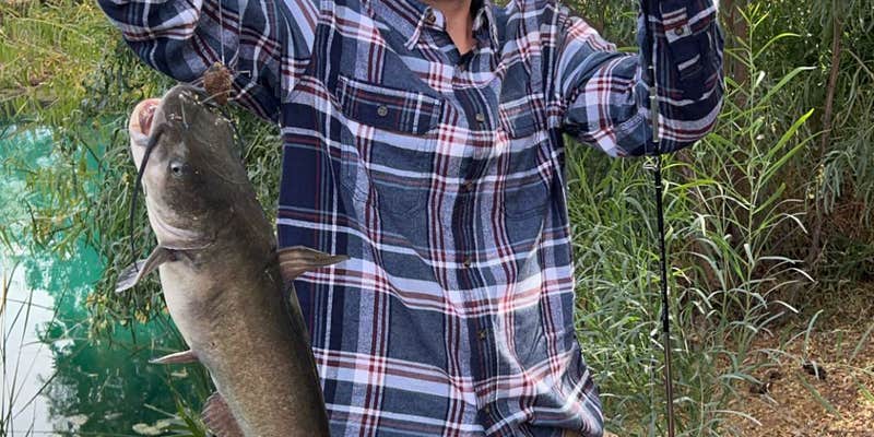 Camper submitted image from Flip’s Fish Farm