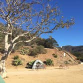 Review photo of Malibu Beach RV Park by Alicia F., November 1, 2018