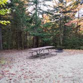 Review photo of Sugarloaf 2 Campground by Jean C., November 1, 2018